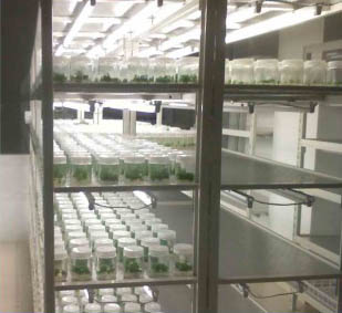 美順達培養(yǎng)架、樣品架展示